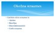 Prezentācija 'Okeānu straumju ietekme uz klimatu', 10.