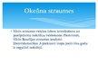 Prezentācija 'Okeānu straumju ietekme uz klimatu', 11.
