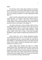 Referāts 'Jaunu produktu ieviešana tirgū', 3.