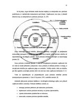 Referāts 'Jaunu produktu ieviešana tirgū', 10.