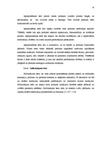 Referāts 'Jaunu produktu ieviešana tirgū', 16.