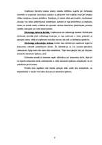 Prakses atskaite 'Prakses atskaite mārketingā', 9.