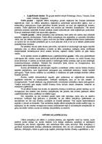 Referāts 'Ofšors', 8.