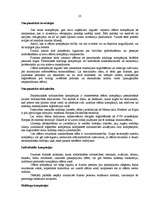 Referāts 'Ofšors', 23.