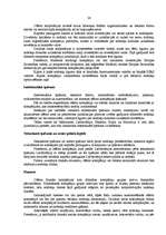 Referāts 'Ofšors', 24.