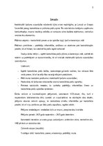 Referāts 'Kontrafakto preču izplatība e-komercijas vidē: ietekme uz Latvijas tautsaimniecī', 3.