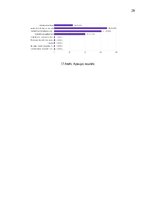 Referāts 'Kontrafakto preču izplatība e-komercijas vidē: ietekme uz Latvijas tautsaimniecī', 29.