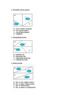 Konspekts 'Mērķa tirgus meklēšana - segmentēšana', 2.