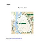 Referāts 'Angļu valodas semantiskā nozīme uzņēmumu zīmolu grafiskā dizaina atpazīstamībā u', 24.