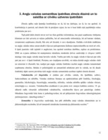 Referāts 'Angļu valodas semantiskā nozīme uzņēmumu zīmolu grafiskā dizaina atpazīstamībā u', 44.
