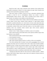 Referāts 'Angļu valodas semantiskā nozīme uzņēmumu zīmolu grafiskā dizaina atpazīstamībā u', 73.