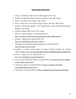 Referāts 'Angļu valodas semantiskā nozīme uzņēmumu zīmolu grafiskā dizaina atpazīstamībā u', 75.