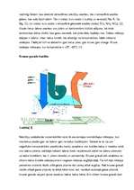 Referāts 'Krusa', 4.