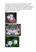 Referāts 'Krusa', 5.