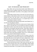 Eseja 'Annužas tēls romānā "Mērnieku laiki"', 1.