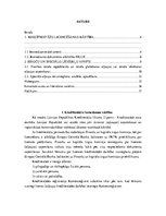 Referāts 'Licencēšu un atļauju piešķiršanas kārtība privātpersonām', 3.