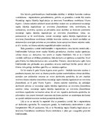 Referāts 'Licencēšu un atļauju piešķiršanas kārtība privātpersonām', 7.