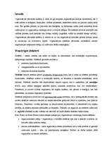 Referāts 'Organizācijas pārvaldes sistēma', 3.