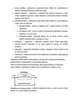 Referāts 'Organizācijas pārvaldes sistēma', 4.