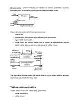 Referāts 'Organizācijas pārvaldes sistēma', 5.
