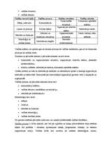 Referāts 'Organizācijas pārvaldes sistēma', 6.