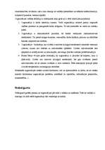 Referāts 'Organizācijas pārvaldes sistēma', 7.