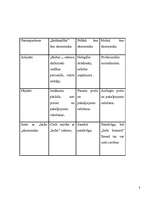 Referāts 'Ēnu ekonomika Latvijā', 8.