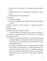 Referāts 'Ēnu ekonomika Latvijā', 13.