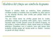 Prezentācija 'Kultūra kā zīmju un simbolu sistēma', 2.