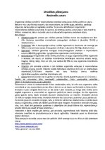 Konspekts 'Veselības plānojums - racionāls uzturs', 1.