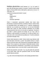 Konspekts 'Gotika', 4.