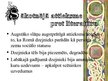 Prezentācija 'Seno romiešu literatūra', 3.