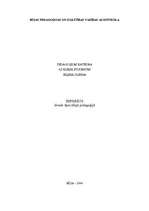 Konspekts 'Kā es varu palīdzēt bērniem ar garīgās attīstības traucējumiem?', 11.
