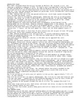 Eseja 'Cindy Sherman Frames Analysis', 1.