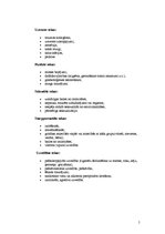 Referāts 'Sociālās rehabilitācijas plāns vardarbībā cietušām sievietēm', 5.