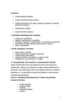 Referāts 'Sociālās rehabilitācijas plāns vardarbībā cietušām sievietēm', 7.