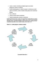 Referāts 'Sociālās rehabilitācijas plāns vardarbībā cietušām sievietēm', 13.