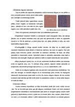 Referāts 'Datoru elektronisko komponenšu izgatavošanas process', 5.