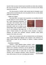 Referāts 'Datoru elektronisko komponenšu izgatavošanas process', 6.