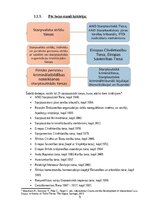 Referāts 'Praktikums starptautiskajās tiesībās', 5.