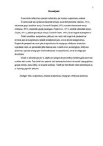 Referāts 'Etnisko aizspriedumu rašanās', 3.