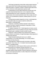 Referāts 'Etnisko aizspriedumu rašanās', 12.