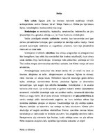 Konspekts 'Krēta un Mikēnas', 1.