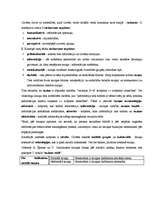 Konspekts 'Runas prasme saziņā', 2.