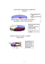 Referāts 'Surogātmātes', 13.