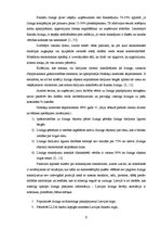 Referāts 'Līzinga izmantošanas efektivitāte uzņēmumā SIA "Multimark"', 9.