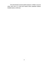 Referāts 'Līzinga izmantošanas efektivitāte uzņēmumā SIA "Multimark"', 13.