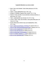 Referāts 'Līzinga izmantošanas efektivitāte uzņēmumā SIA "Multimark"', 31.