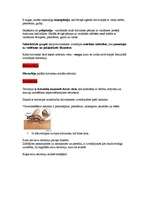 Konspekts 'Etoloģija', 4.