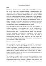 Referāts 'Celtniecība un būvdarbi', 1.